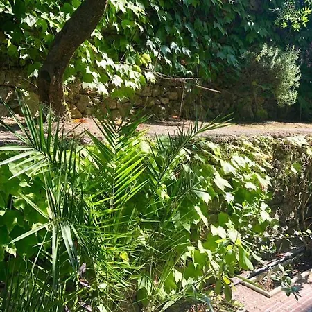 Apartment House With Garden Baia Dei Saraceni