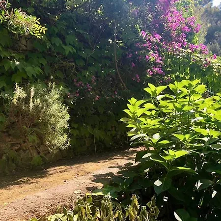 House With Garden Baia Dei Saraceni Apartment *